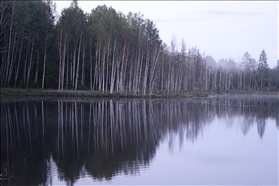 Točka-Na-Kartě